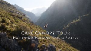canopy tours 