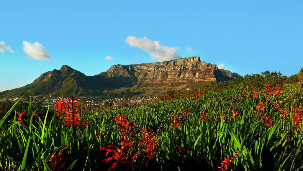 Read more about the article Cape Town Central Attractions