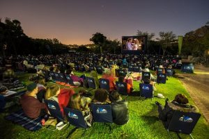 5 Things to in Cape Town Spring | www.thegalileo.co.za