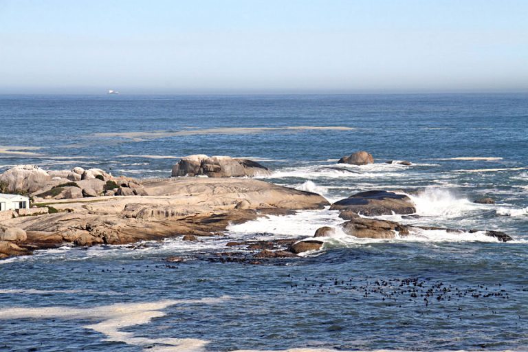 9Camps-Bay-Terrace-Suite