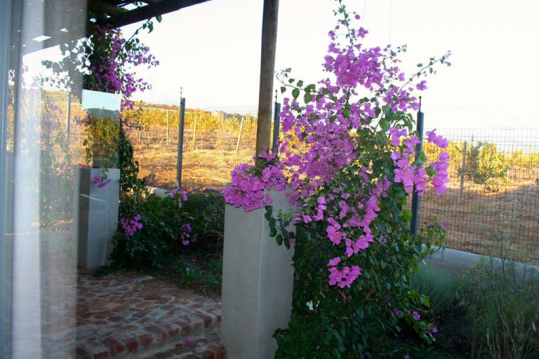 gilga_stellenbosch_accommodation_9