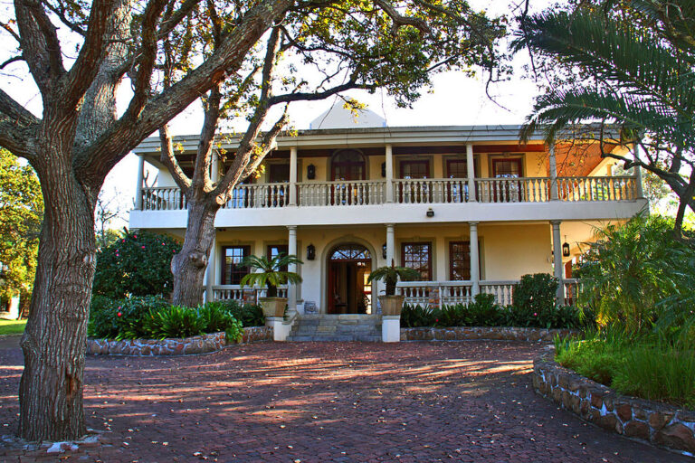 ibis-house (6)