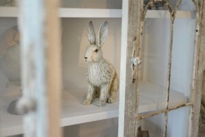 Riverview - Hout Bay bunny