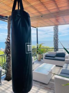 Altona villa Bantry Bay - boxing bag