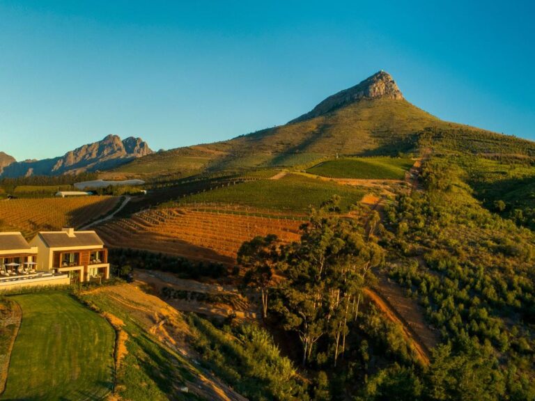 Delaire-Owners-Villa-5
