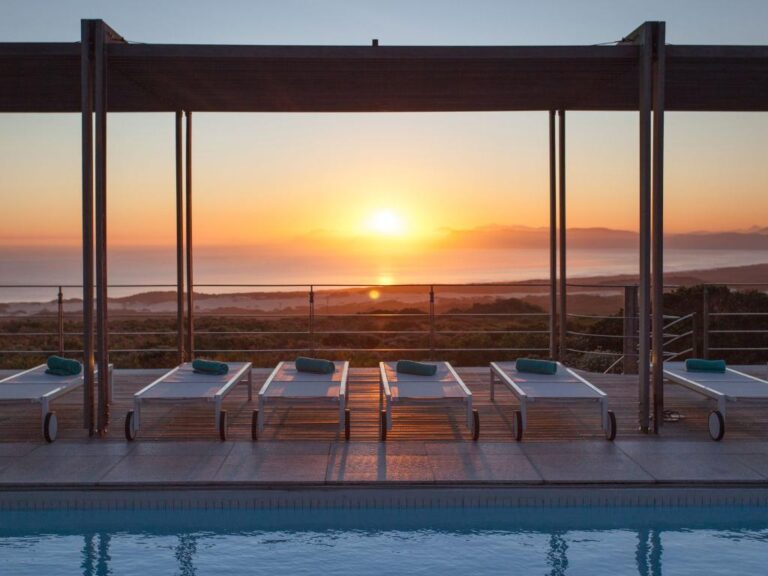 GROOTBOS FYNBOS-STANDFORD-14