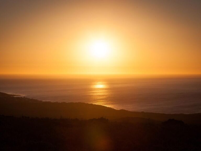GROOTBOS FYNBOS-STANDFORD-18