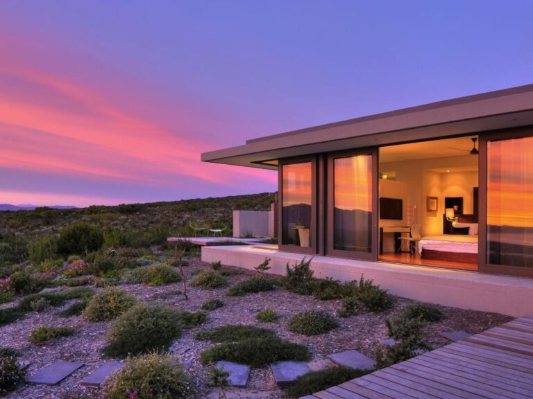 GROOTBOS FYNBOS-STANDFORD-7