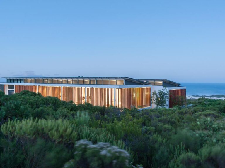 GROOTBOS-SUNBIRD-45