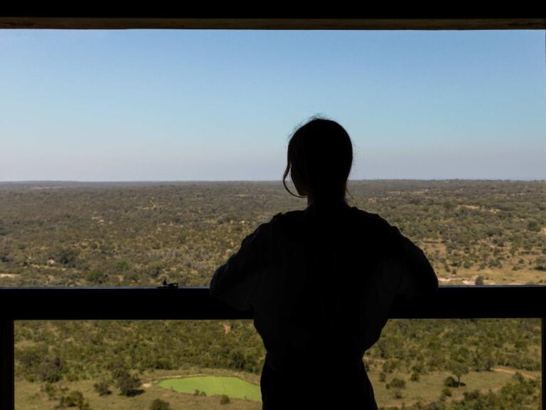 Ulusaba-Rock-Cliff-13