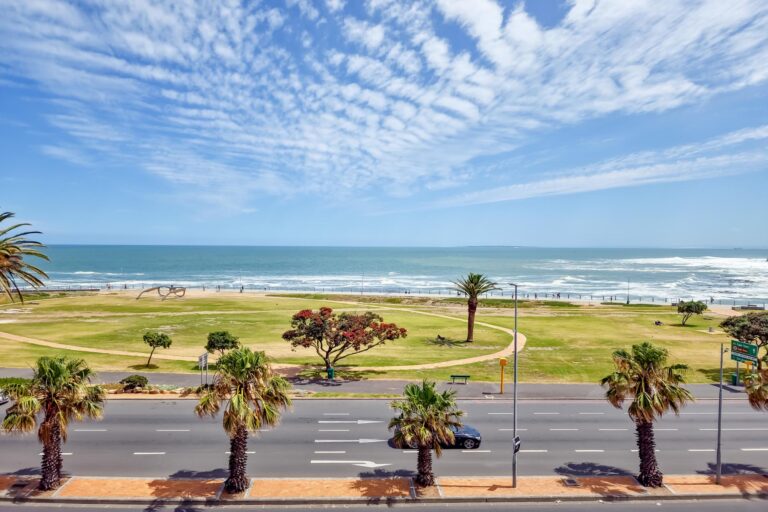 Ocean Outlook (23)